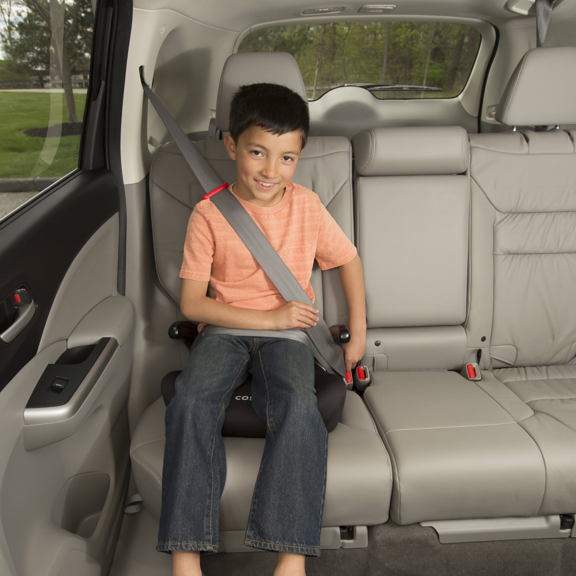Rise LX Booster Car Seat, Cameo Rose, Toddler, Unisex